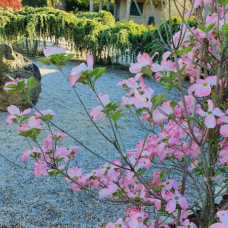Casa Da Agra Сasa de vacaciones